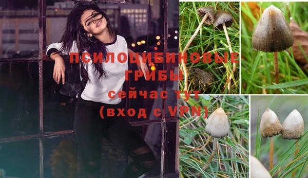 каннабис Дмитровск