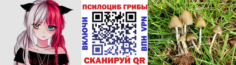 Галлюциногенные грибы Cubensis  Купить где  Островной 